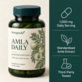 NorthPlus Amla Daily